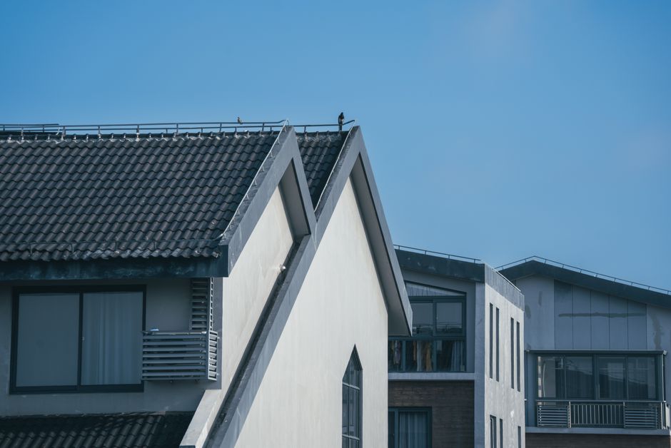 flat roof options